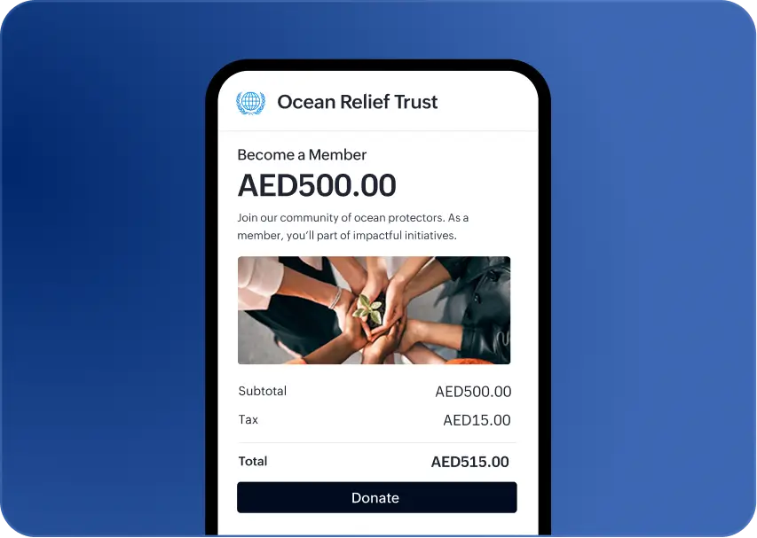 Mobile checkout page preview