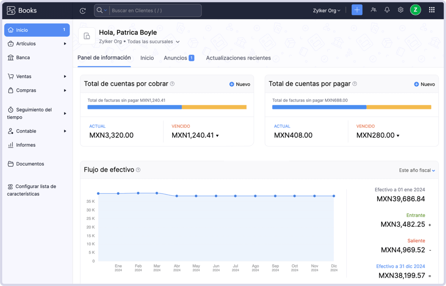 panel de información de Zoho Books