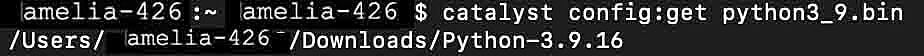 catalyst_cli_config