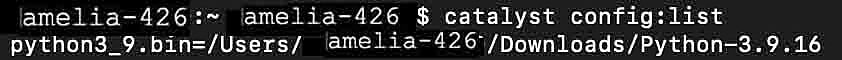 catalyst_cli_config