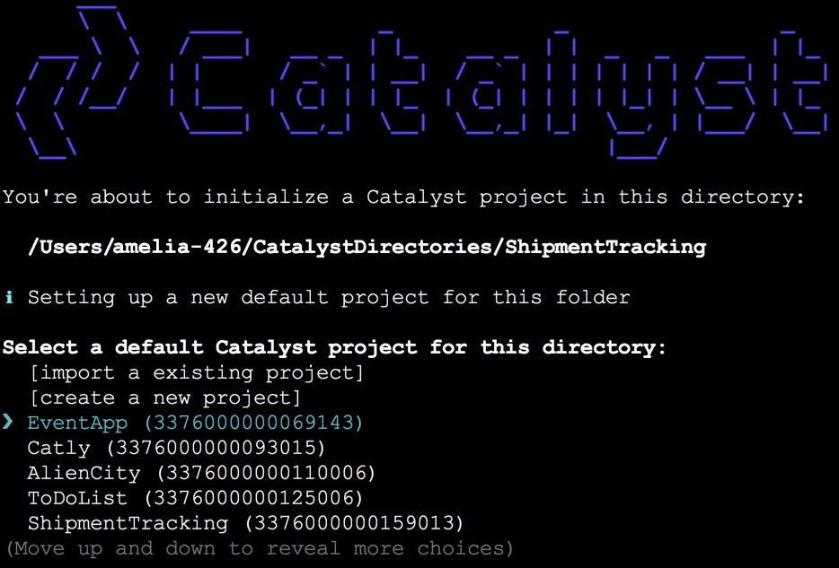 catalyst_cli_initialize-project