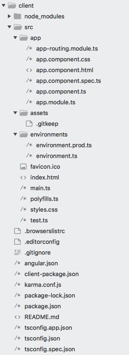 Initialize Client- Angular Directory