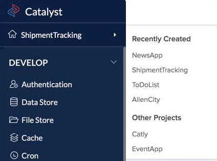 Catalyst Console- Collapsible Menu