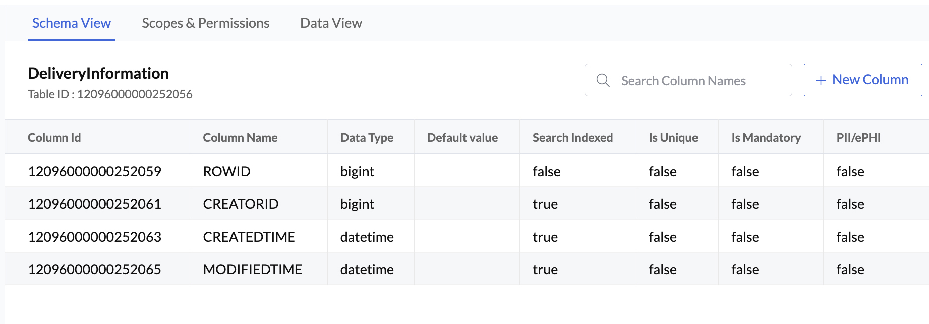 Data Store- Schema View