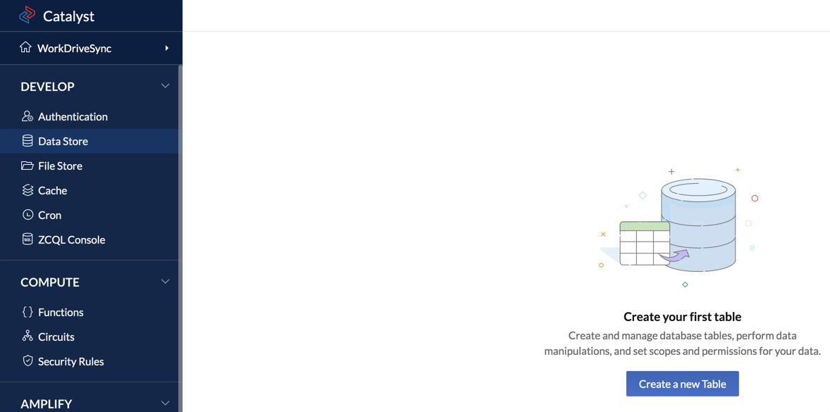 catalyst_workdrive_datastore