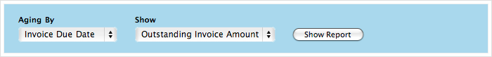 Invoice aging report filters