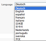 Multi-Lingual Invoicing Multi-Lingual Invoicing