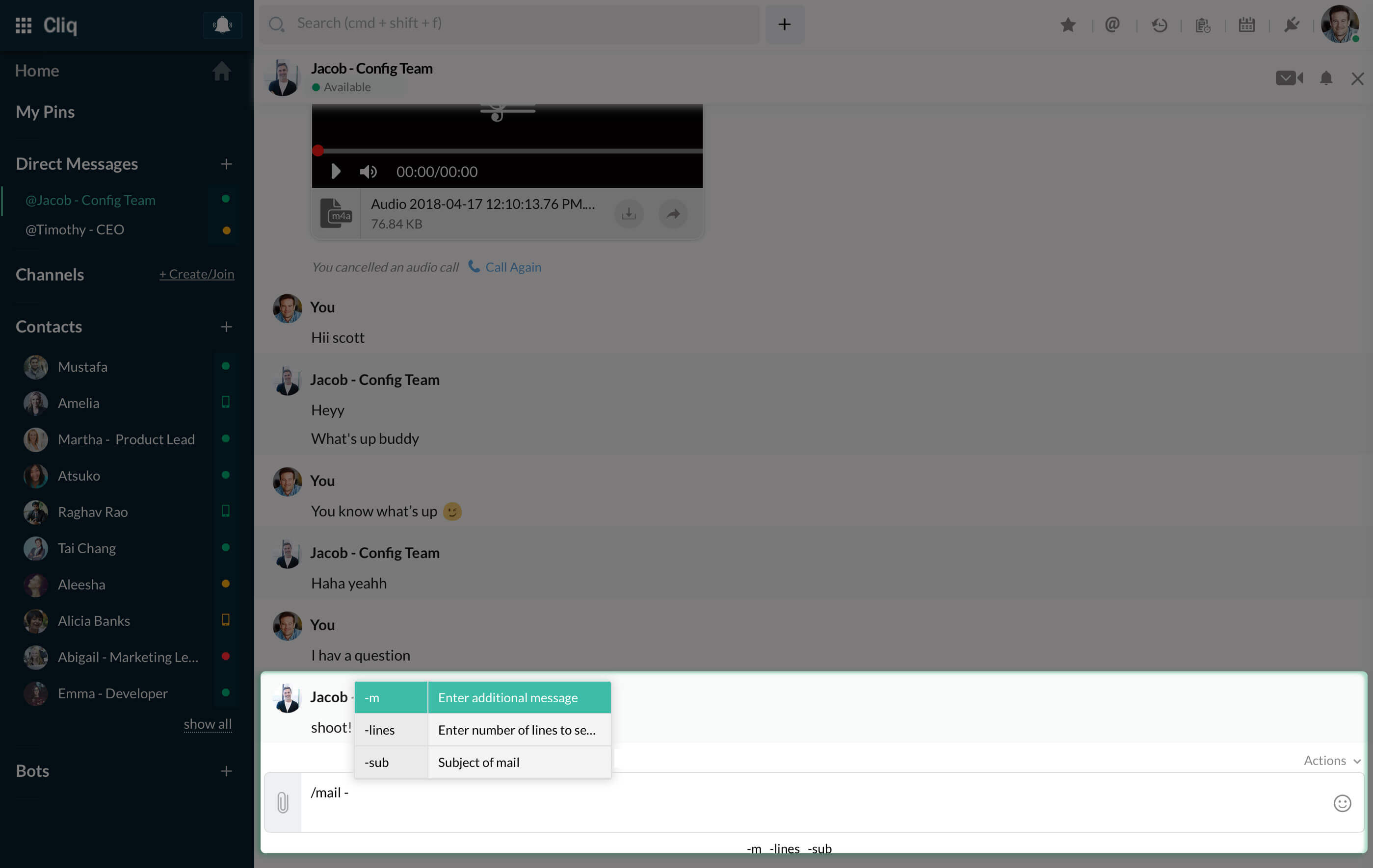 Entering Command options Use the command options by typing (-).