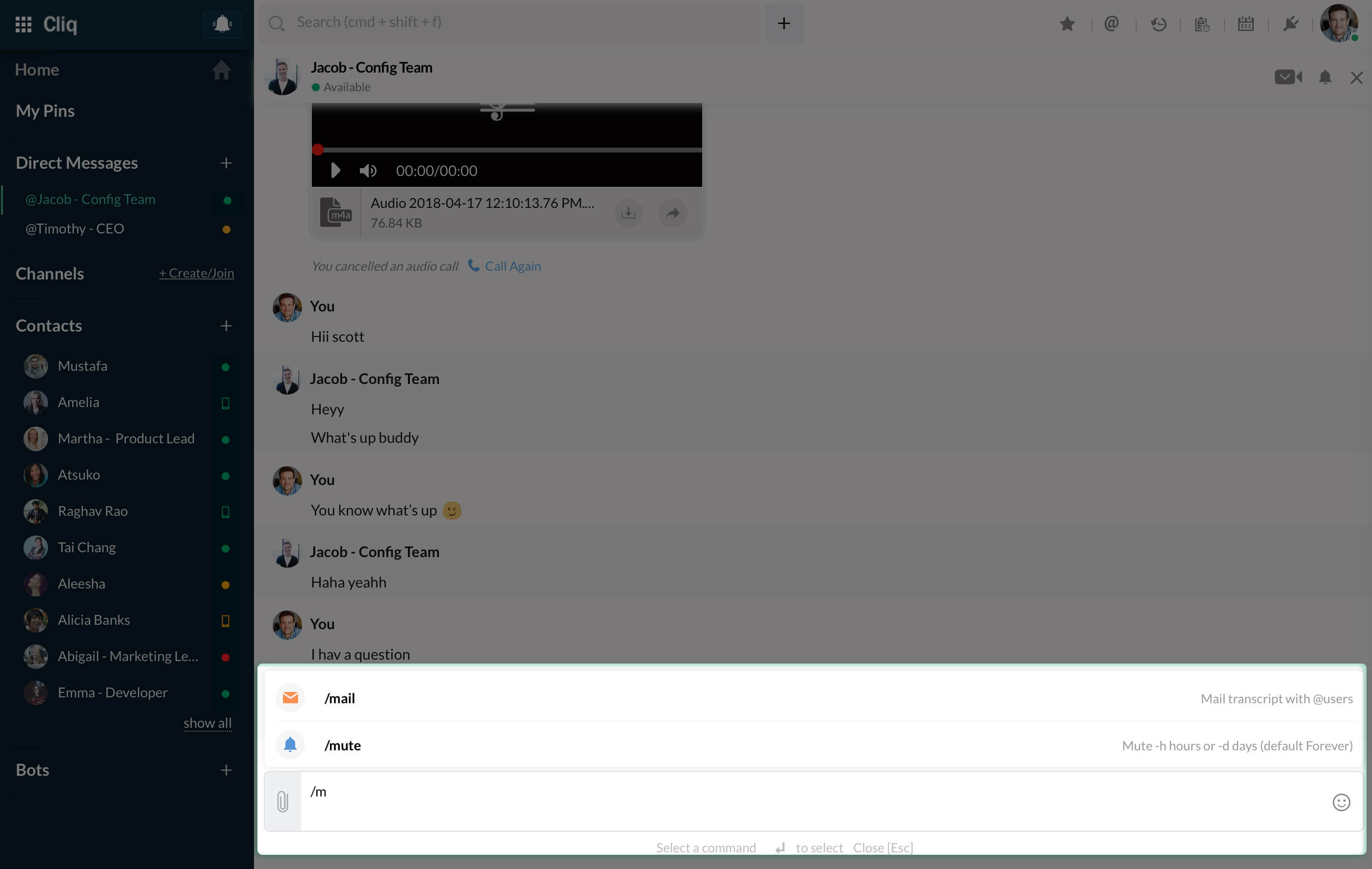 Hint of the Command Start by typing (/) followed by the command and the hint will be displayed in the right side