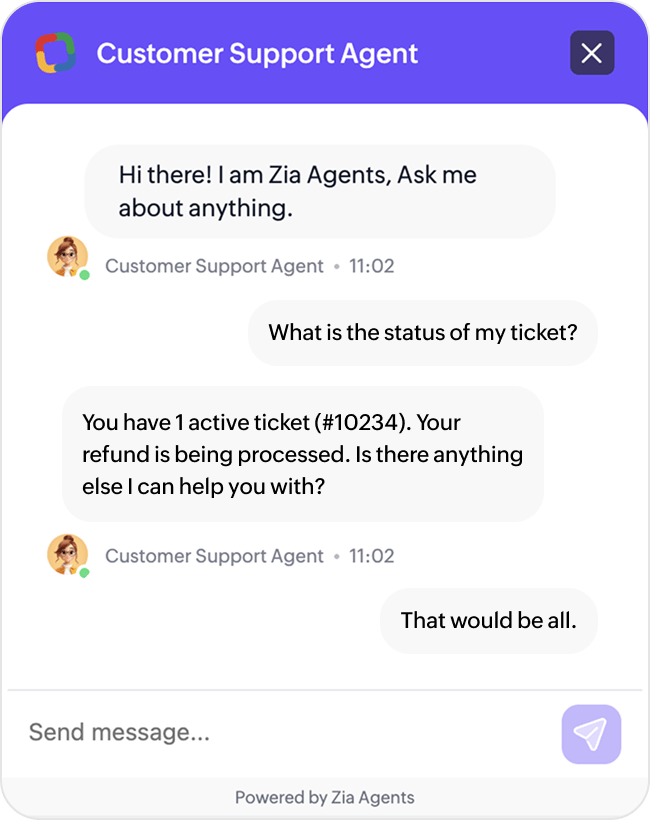 Customer support agent screenshot