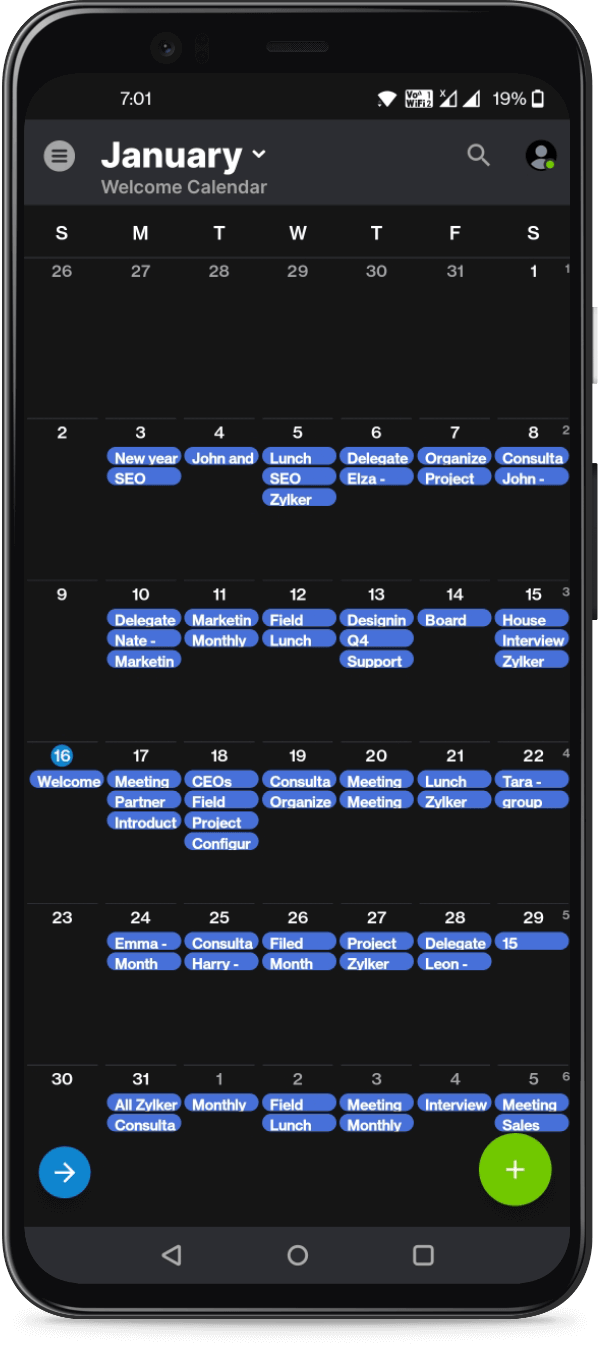 Teamup Calendar