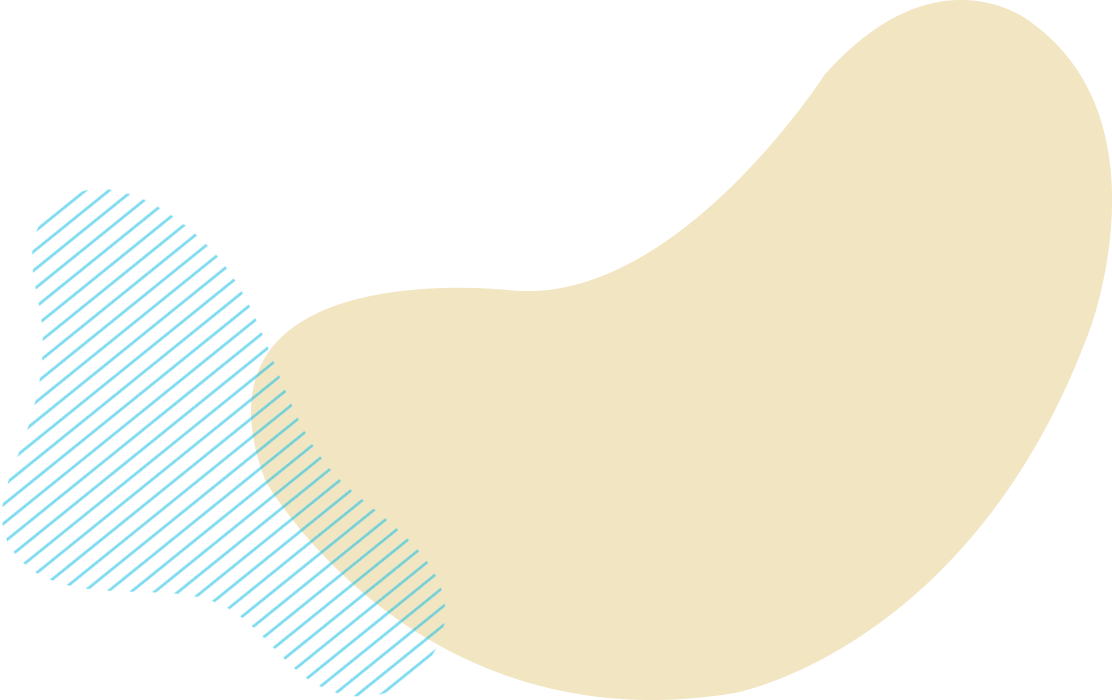 Implement Search Engine Optimization (SEO)