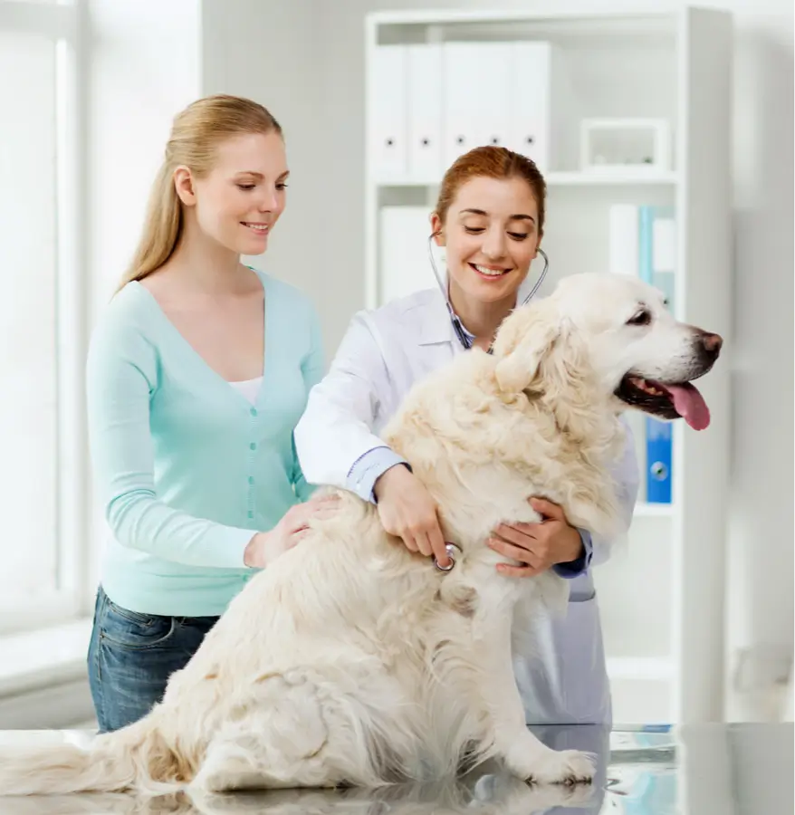 Healthcare solutions