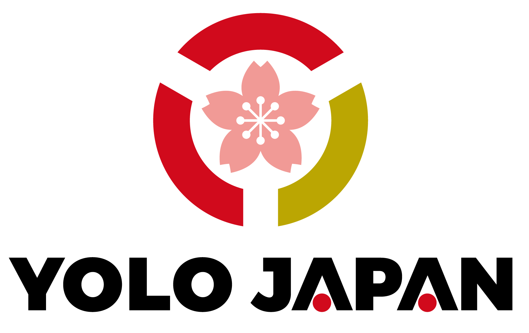 yolo_logo