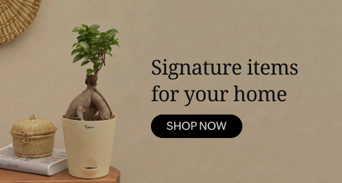 SSL encrypted, secure landing pages