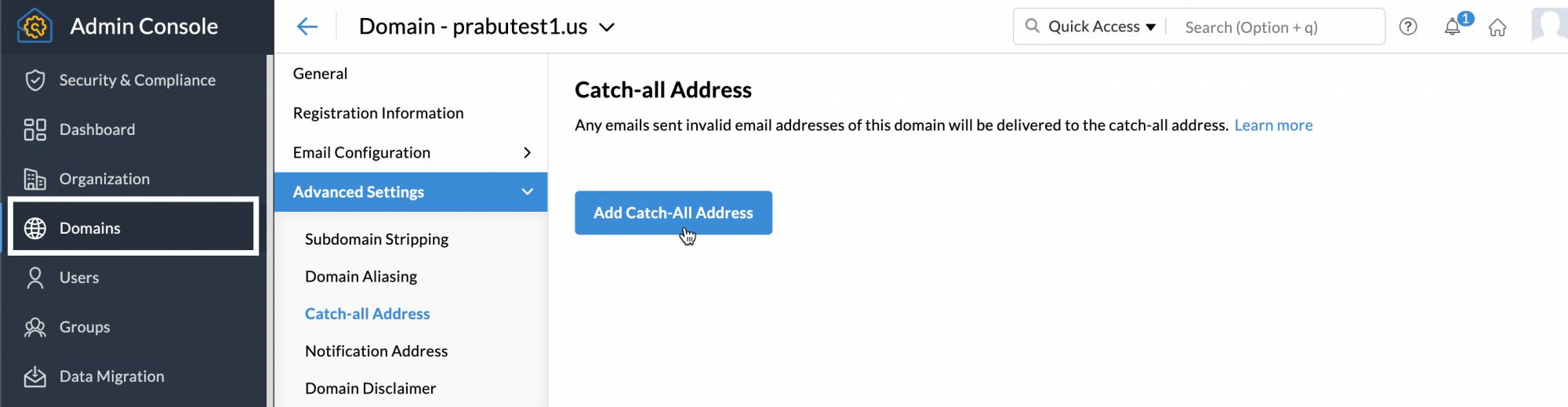 Catch-all address catch-all address