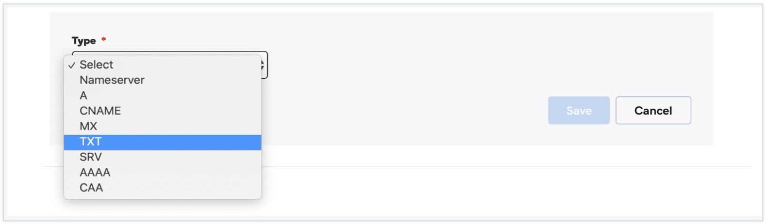 Choose the record type as TXT Choose the record type as TXT