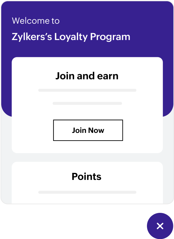 Customer loyalty software with widget customization