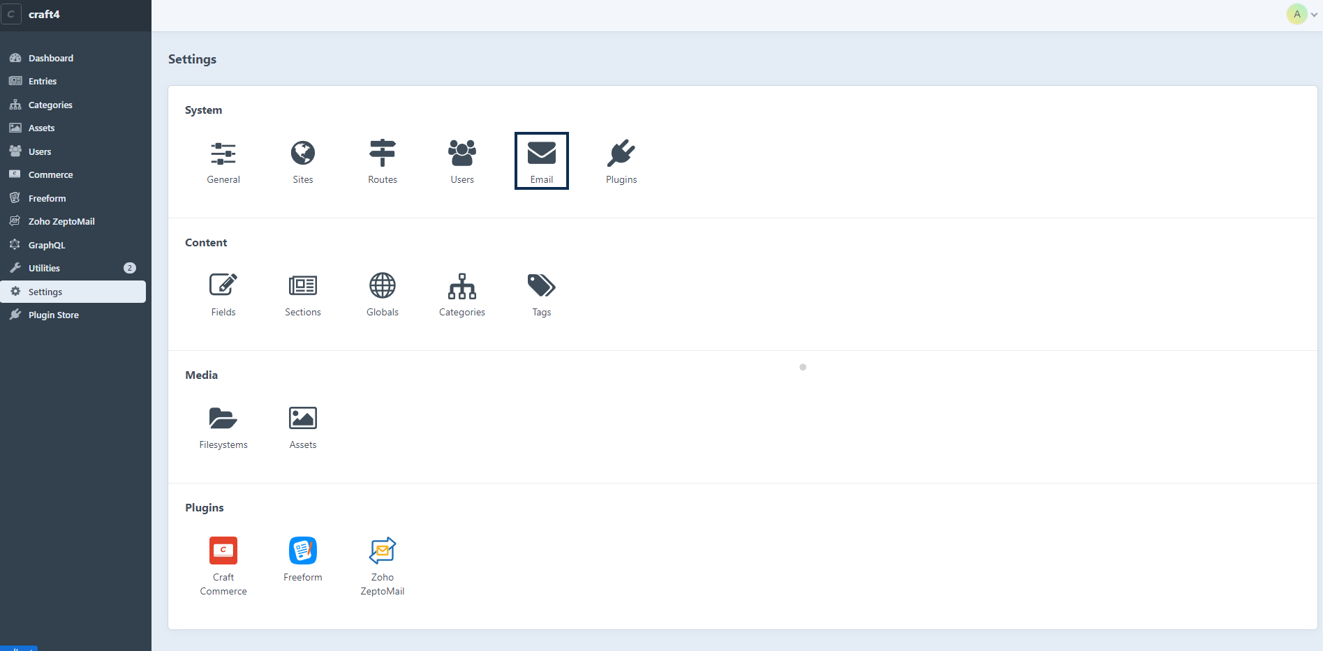 UI screenshot of email option